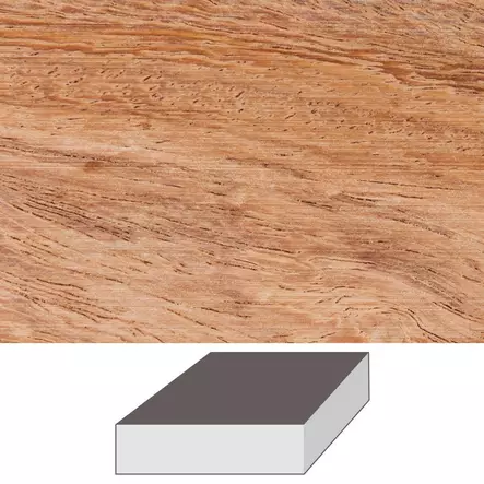 Wild Mango, 152 x 152 x 52 mm - Kynä- ym aihiot - 710689 - 1